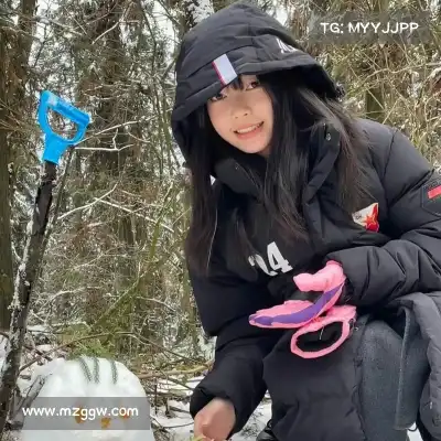 蔡能非